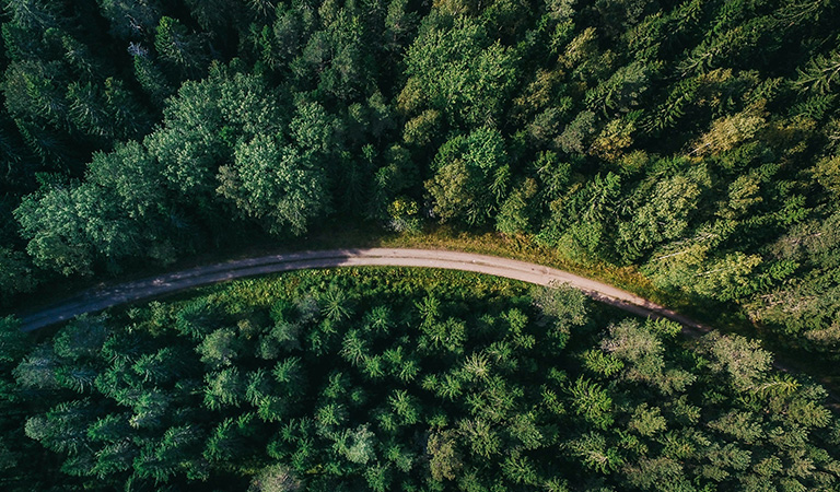 Environment Policy